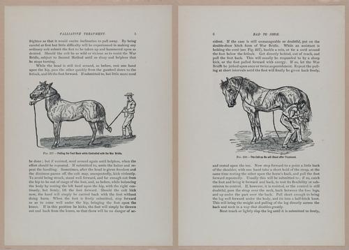 E318 - Sensible Horshoeing - i8664 - 8665