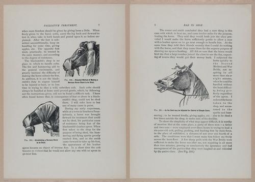 E318 - Sensible Horshoeing - i8666 - 8667