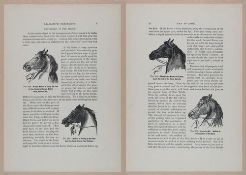 E318 - Sensible Horshoeing - i8668 - 8669