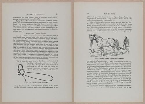 E318 - Sensible Horshoeing - i8670 - 8671