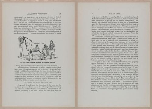 E318 - Sensible Horshoeing - i8672 - 8673