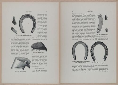 E318 - Sensible Horshoeing - i8699 - 8700