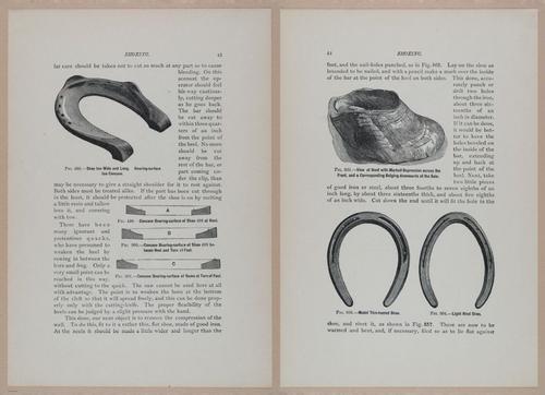 E318 - Sensible Horshoeing - i8703 - 8704
