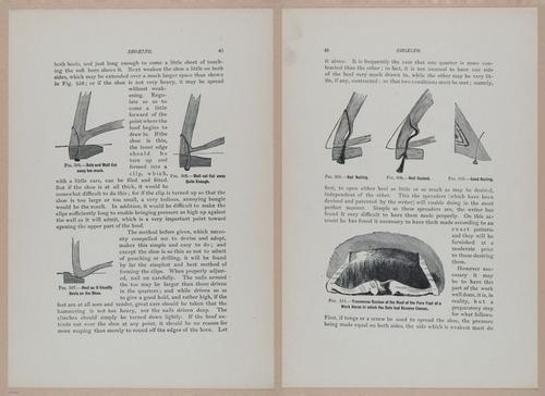 E318 - Sensible Horshoeing - i8705 - 8706