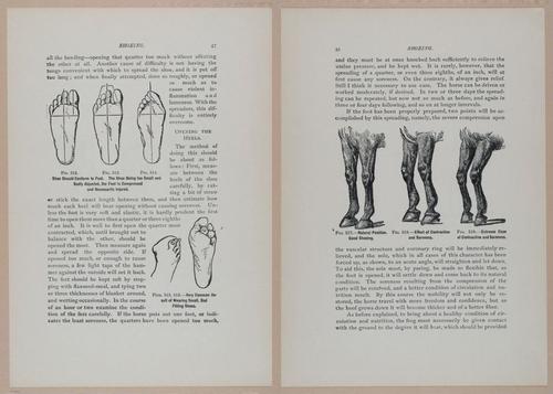 E318 - Sensible Horshoeing - i8707 - 8708