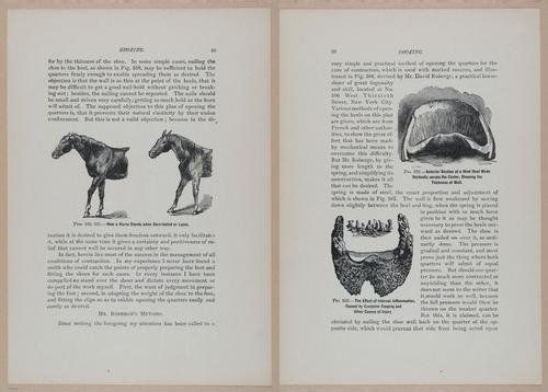 E318 - Sensible Horshoeing - i8709 - 8710