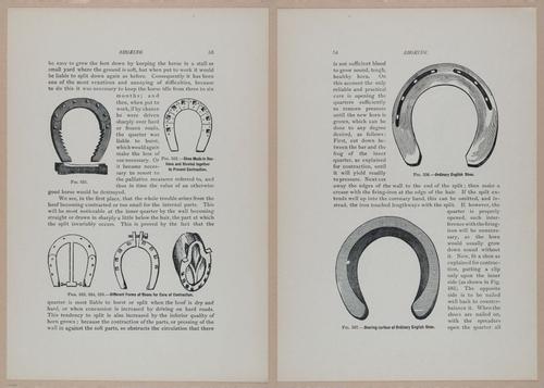 E318 - Sensible Horshoeing - i8713 - 8714