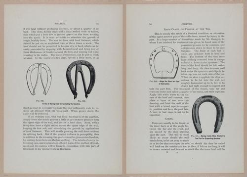 E318 - Sensible Horshoeing - i8715 - 8716