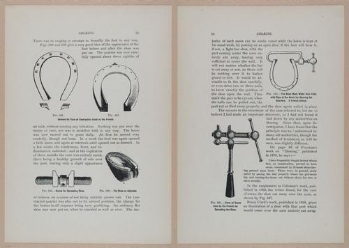 E318 - Sensible Horshoeing - i8719 - 8720