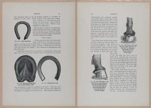 E318 - Sensible Horshoeing - i8721 - 8722