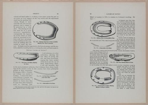 E318 - Sensible Horshoeing - i8729 - 8730