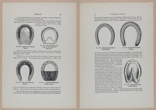 E318 - Sensible Horshoeing - i8739 - 8740