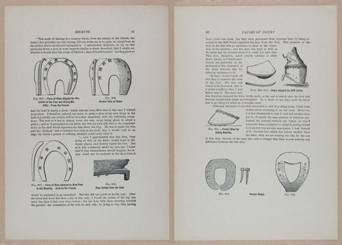 E318 - Sensible Horshoeing - i8741 - 8742