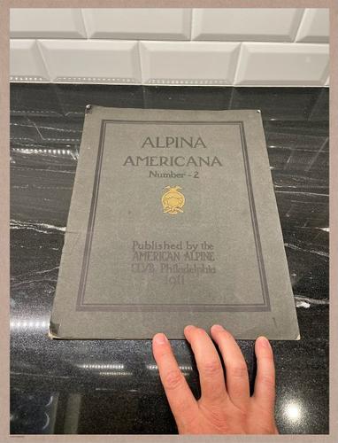 E317 - Alpina America 1911 - 7809