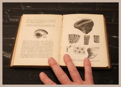 E326 - The Story of the Rocks 1873 - i0079(4)
