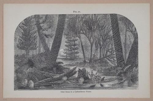 E326 - The Story of the Rocks 1873 - i9562