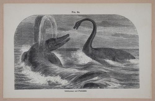 E326 - The Story of the Rocks 1873 - i9578