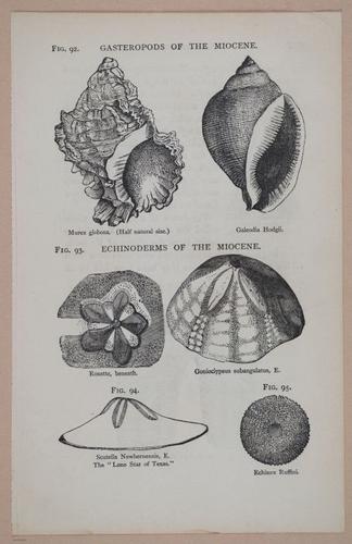 E326 - The Story of the Rocks 1873 - i9602