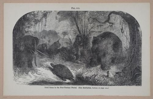 E326 - The Story of the Rocks 1873 - i9633