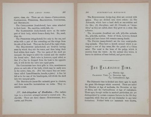 E326 - The Story of the Rocks 1873 - i9510-9511
