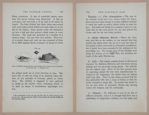 E326 - The Story of the Rocks 1873 - i9516-9517