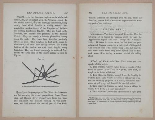 E326 - The Story of the Rocks 1873 - i9526-9527