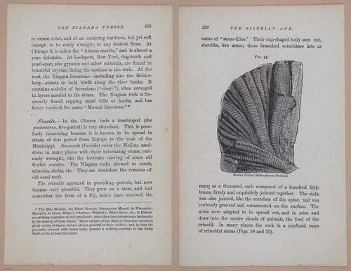 E326 - The Story of the Rocks 1873 - i9528-9529