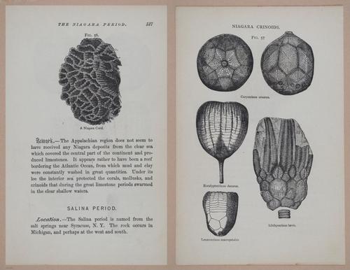 E326 - The Story of the Rocks 1873 - i9530-9531