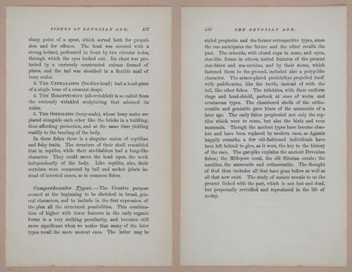 E326 - The Story of the Rocks 1873 - i9540-9541
