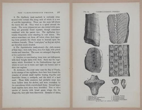E326 - The Story of the Rocks 1873 - i9560-9561