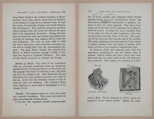 E326 - The Story of the Rocks 1873 - i9572-9573