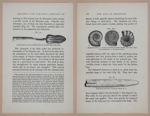E326 - The Story of the Rocks 1873 - i9574-9575