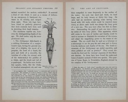 E326 - The Story of the Rocks 1873 - i9576-9577
