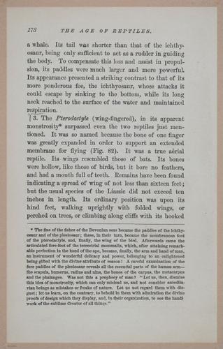 E326 - The Story of the Rocks 1873 - i9580