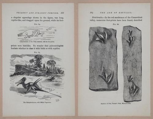 E326 - The Story of the Rocks 1873 - i9584-9585