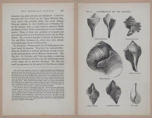 E326 - The Story of the Rocks 1873 - i9600-9601