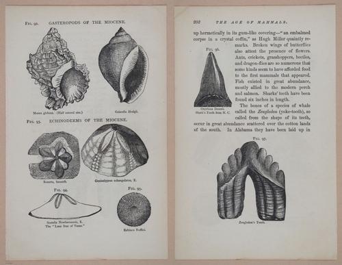 E326 - The Story of the Rocks 1873 - i9602-9603