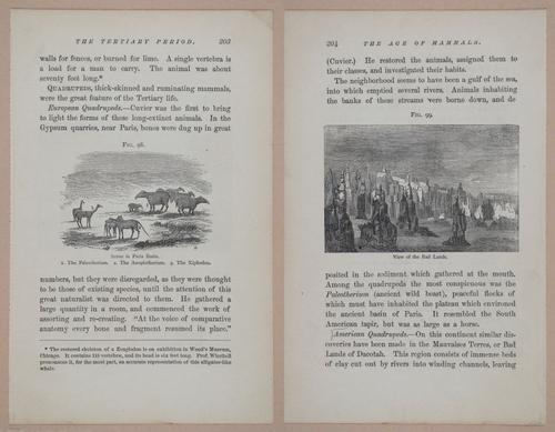 E326 - The Story of the Rocks 1873 - i9604-9605
