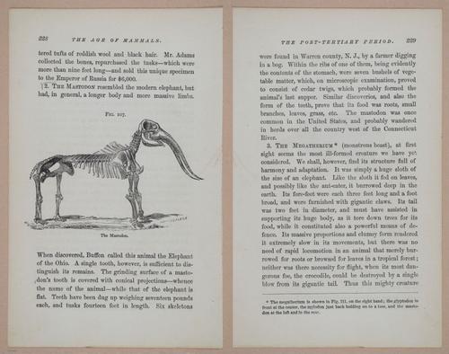 E326 - The Story of the Rocks 1873 - i9628-9629