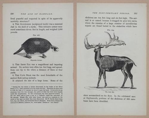 E326 - The Story of the Rocks 1873 - i9630-9631