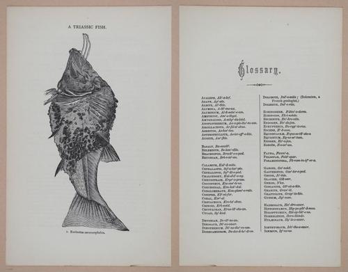 E326 - The Story of the Rocks 1873 - i9672-9673