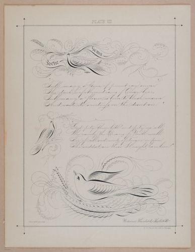E297 - Hill's Manual of Social and Business Forms 1890 - 6238