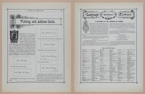 E297 - Hill's Manual of Social and Business Forms 1890 - 6466-6467