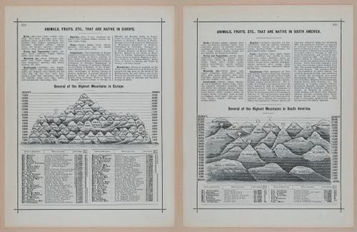 E297 - Hill's Manual of Social and Business Forms 1890 - 7021-7022