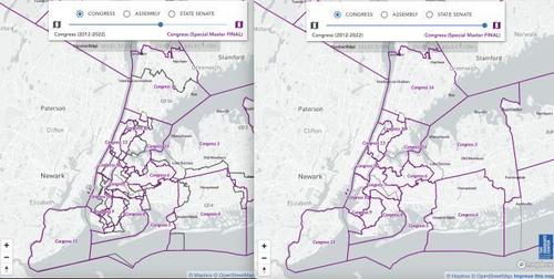 E316 - NY Redistricting & You (Audrey Liu)