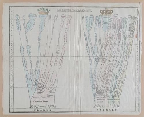 E342 - Elementary Geology - i11195-11196-11197-11198