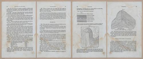 E342 - Elementary Geology - i11230-11231-11232-11233