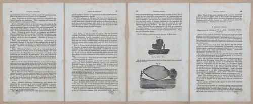 E342 - Elementary Geology - i11274-11275-11276-11277
