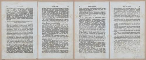 E342 - Elementary Geology - i11286-11287-11288-11289