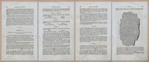 E342 - Elementary Geology - i11290-11291-11292-11293